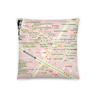 Harajuku Map Full Print Pillow